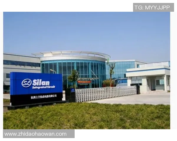 杭州排球队的力量变革引发热议全新战术与团队协作的崛起之路